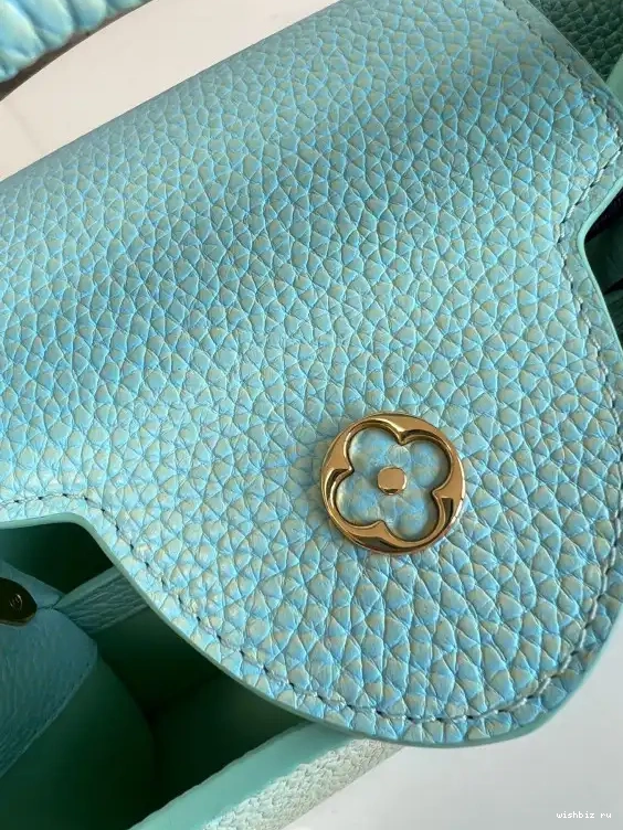 WIS BB VUITTON LOUIS CAPUCINES 0422